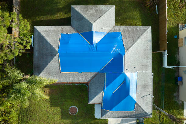 Best Roof Moss and Algae Removal  in Kalispell, MT